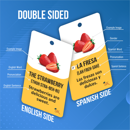 Spanish NOUN Vocabulary Flash Cards ( 6 SETS)