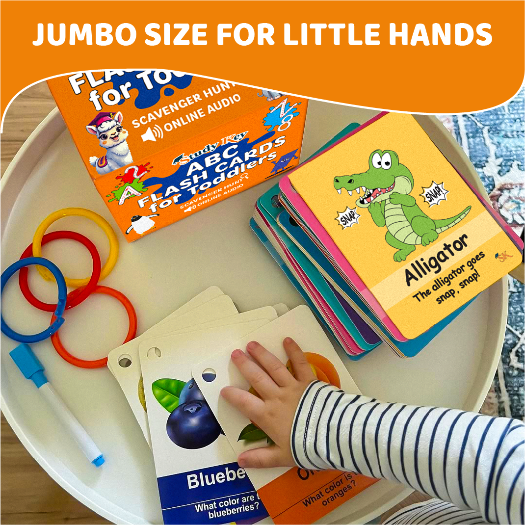 Toddlers English Flash Cards