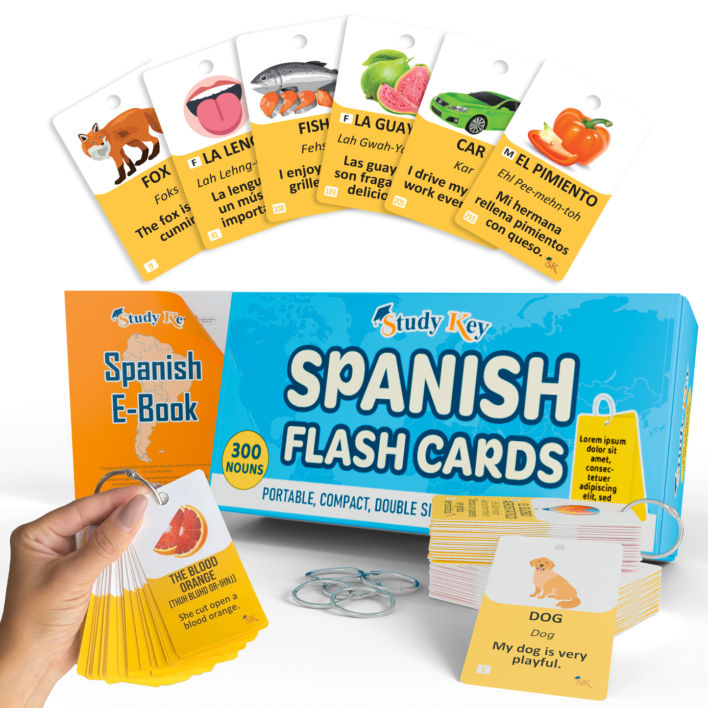 Learn everyday nouns